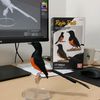 💫🐦‍⬛∆LLVIN || Joki pir4nG||