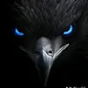 absiwarfali7