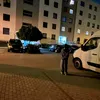 zann_aa