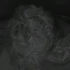 s_a_n_d_r_o59