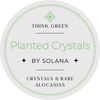 plantedcrystals