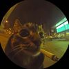 maxim_buda666