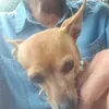christinepetit74