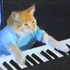 keyboardcat6187