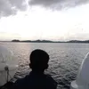 herdinjr742