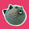 puffer___fish