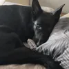 regi_501