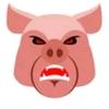 pigapiga69