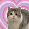 petslover_55