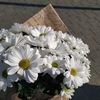 nurul.amalia928