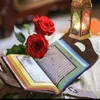 salmanarainarai30