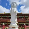 duongngockimngan59