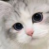 white_queen887