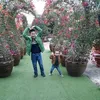 user158874168