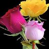 marwat.khan88