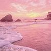 bts.lover640