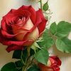 user780230830413