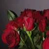 nohasaffi777