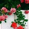 allah.mohan484