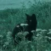 u_l98e