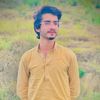 hussainahmad6295