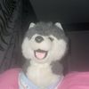 susu_susu.505