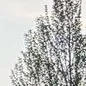 evin_8600