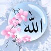 islam_video105