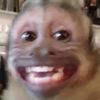 eldantestreams