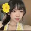 nguyenthitragiang_