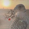 mohammedsaleem4578