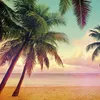 summer08880