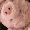 himadesu.yo