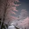 baldasf_