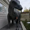 vid_zgr