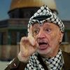 mohammed.rezigui