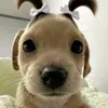 _o_n__n_