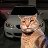 turbo.bolide