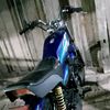 bakuldawet484