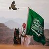 omar81538