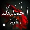 adel.ahmed228