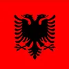 artiola.gashi105