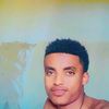 shambel.d