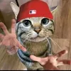 limpcookie69