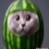 мил@