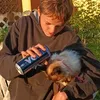matvey_2013_