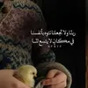 hn_z.a