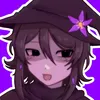 nocturne_catt