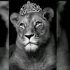 malak60704