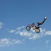 archiemallett527
